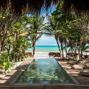 Hotel Xela - Member Of Design